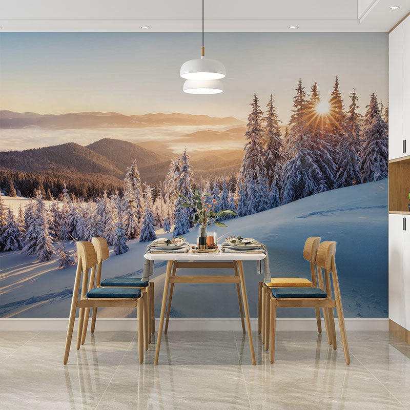 Amanecer dorado entre pinos helados