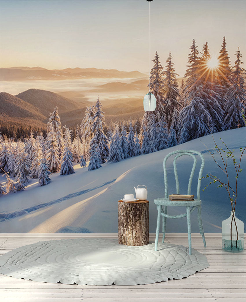 Amanecer dorado entre pinos helados