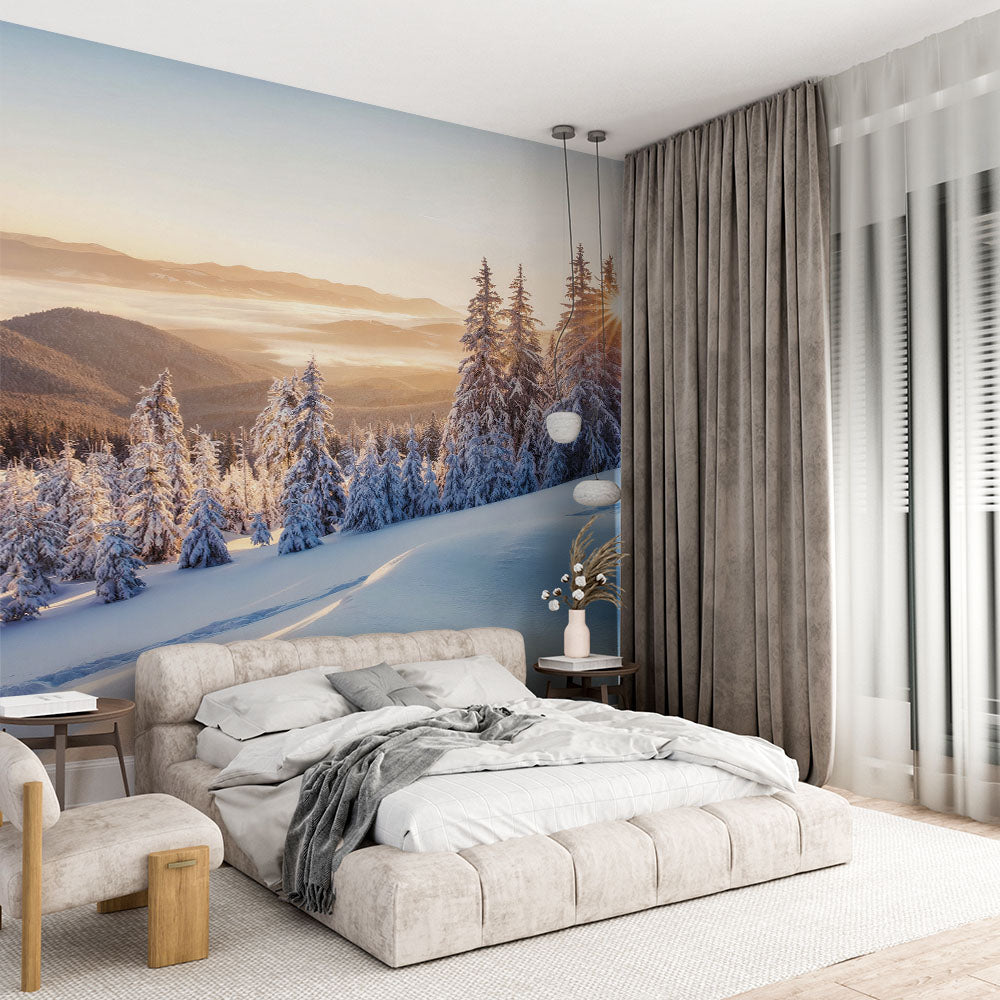 Amanecer dorado entre pinos helados