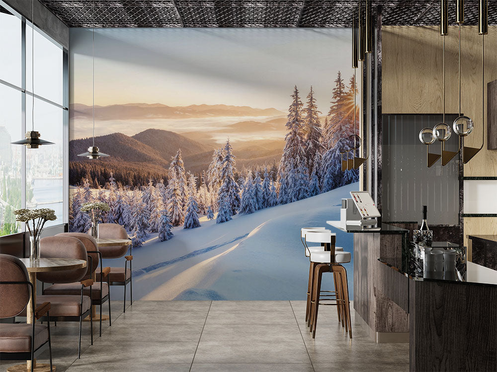 Amanecer dorado entre pinos helados